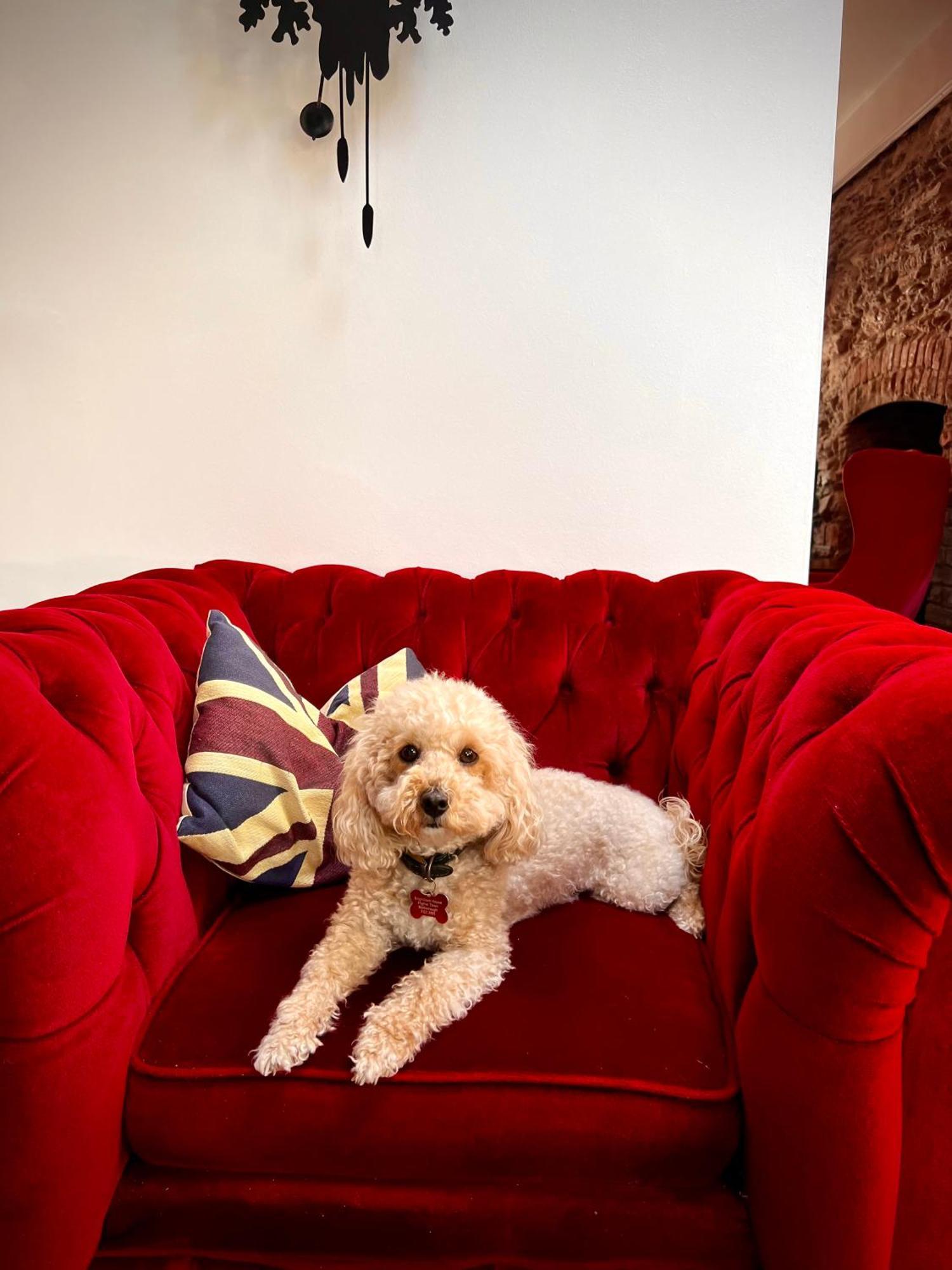 Brightham House - Exclusively For Adults Bed & Breakfast Salcombe Ngoại thất bức ảnh